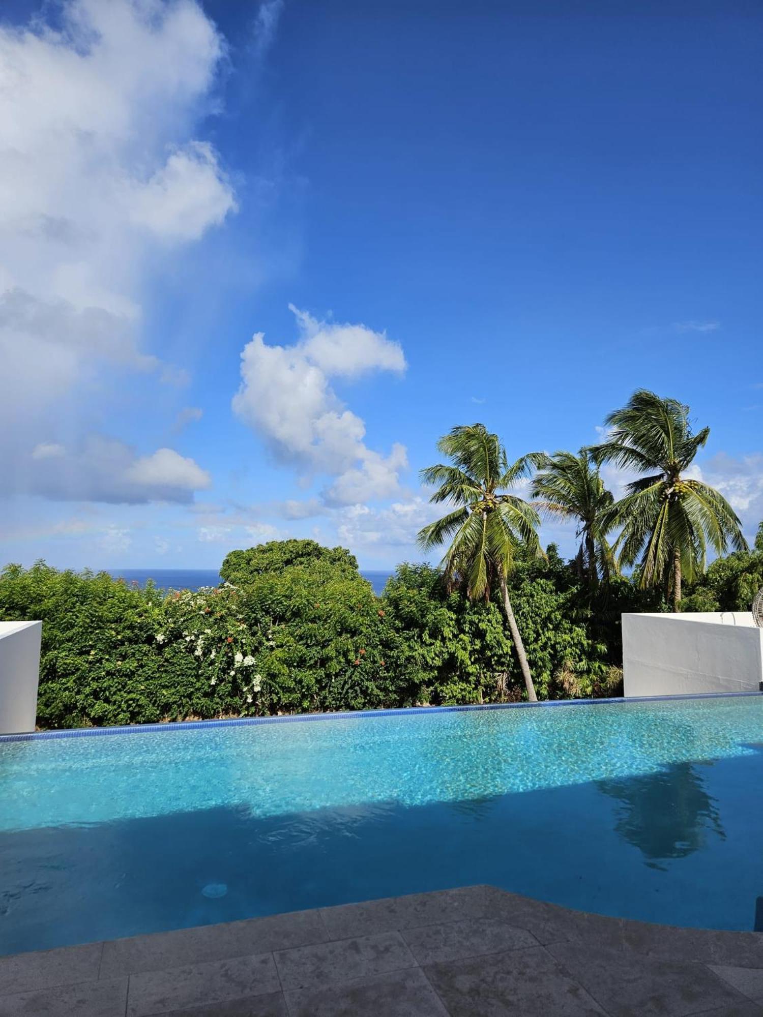 Purple Haze - Infinity Pool Holiday Home Minutes From The Island'S Best Beaches Saint James Exteriör bild